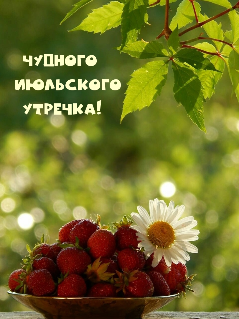 Чудного июльского утречка!