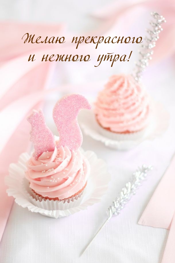 Желаю прекрасного и нежного утра!