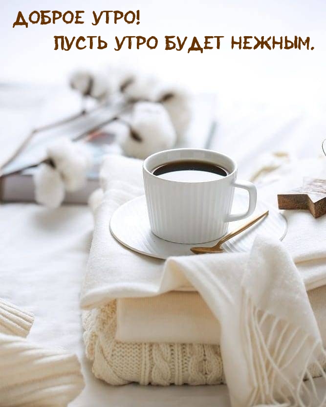 Доброе утро! Пусть утро будет нежным.