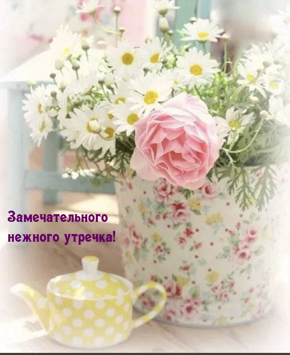 Замечательного нежного утречка!