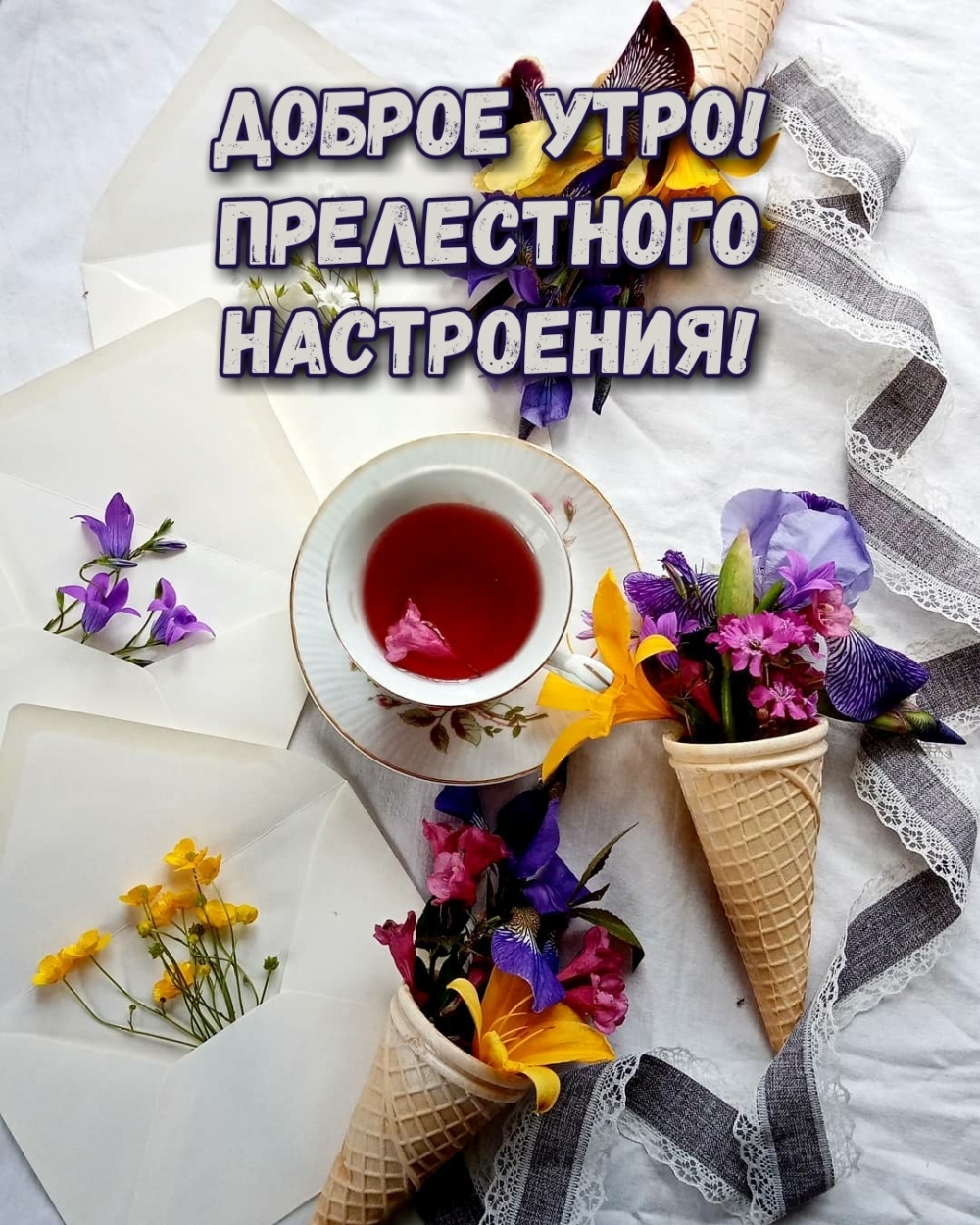 Доброе утро! Прелестного настроения!