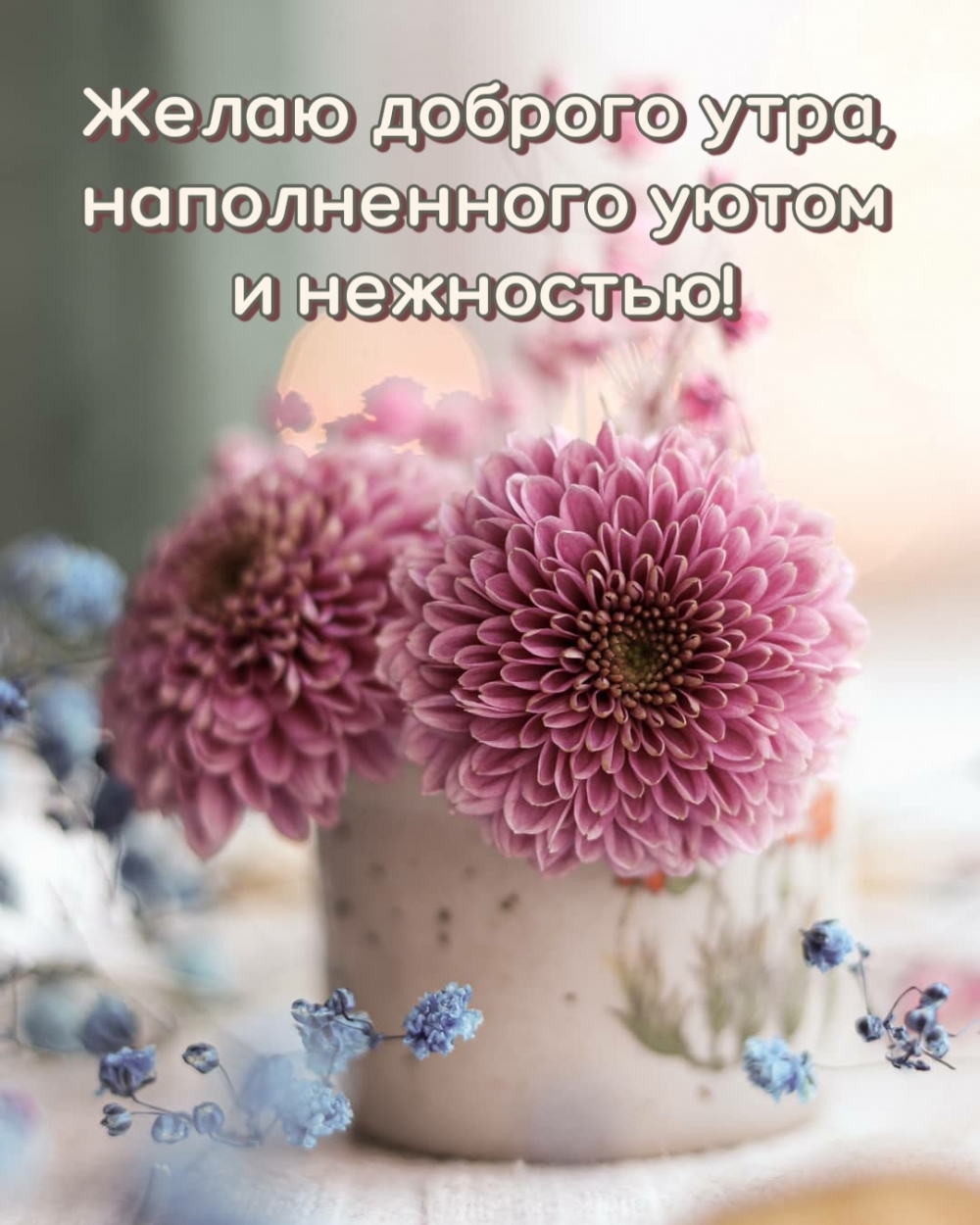 Желаю доброго утра, наполненного уютом и нежностью!