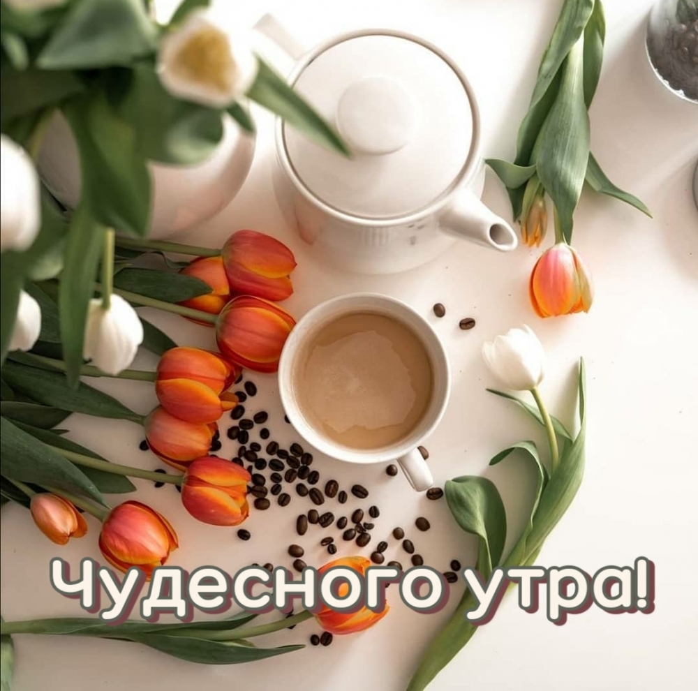 Чудесного утра!