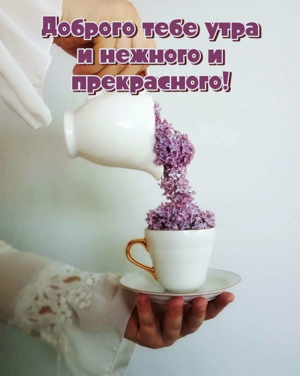 Доброго тебе утра и нежного и прекрасного!