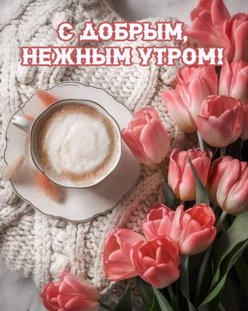 С добрым, нежным утром!