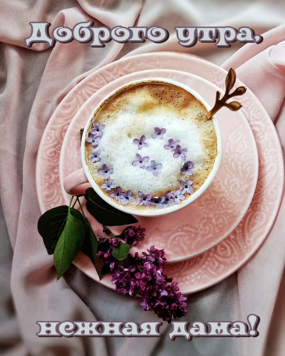 Доброго утра, нежная дама!