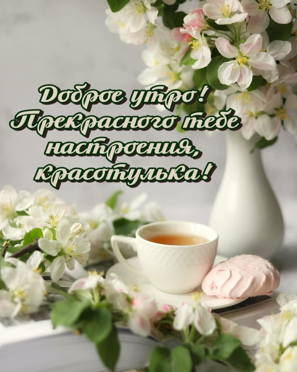 Доброе утро! Прекрасного тебе настроения, красотулька!