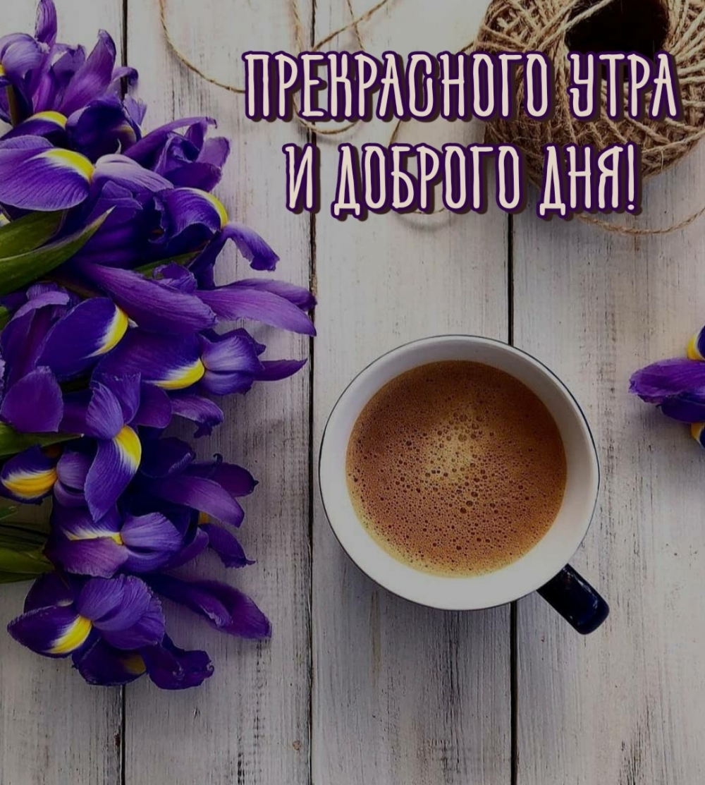 Прекрасного утра и доброго дня!