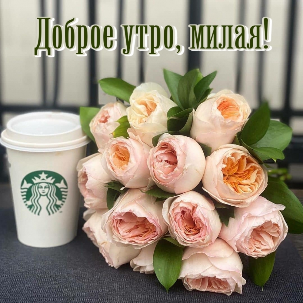 Доброе утро, милая!