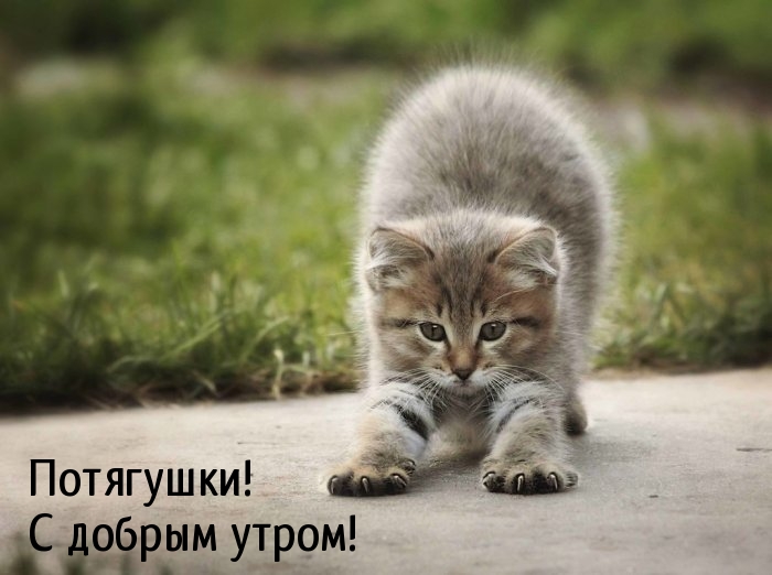 Потягушки! С добрым утром!