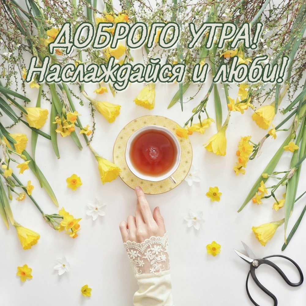 Красивое пожелание доброго утра для девушки