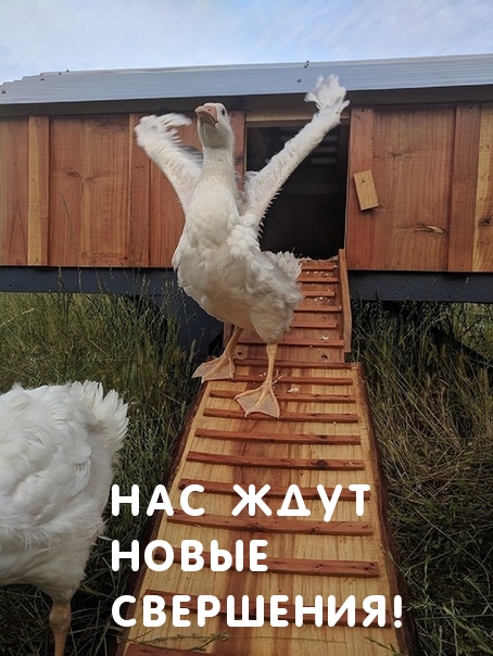 Нас ждут новые свершения!
