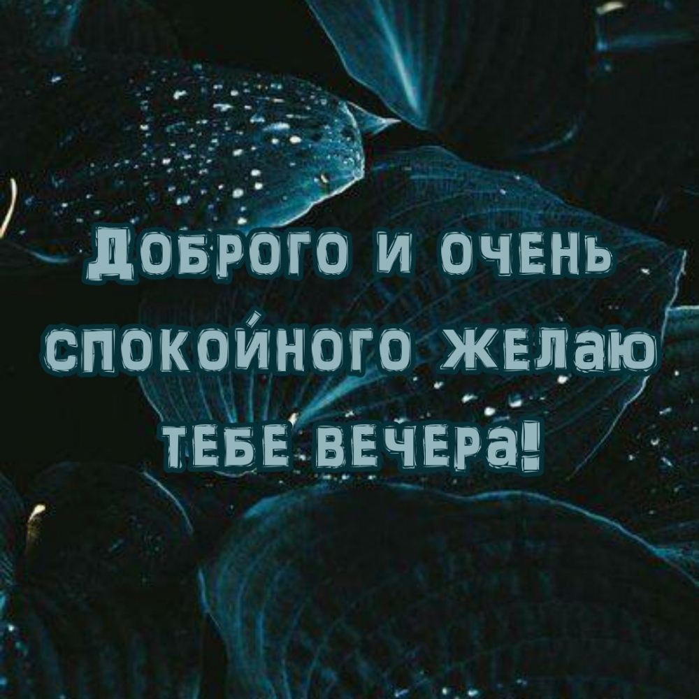 Доброго и очень спокойного желаю тебе вечера!