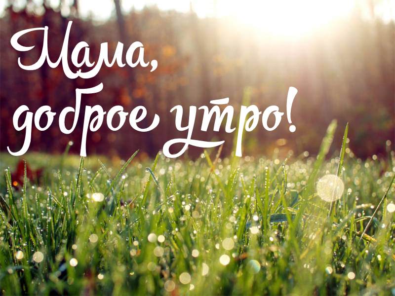 Мама, доброе утро!