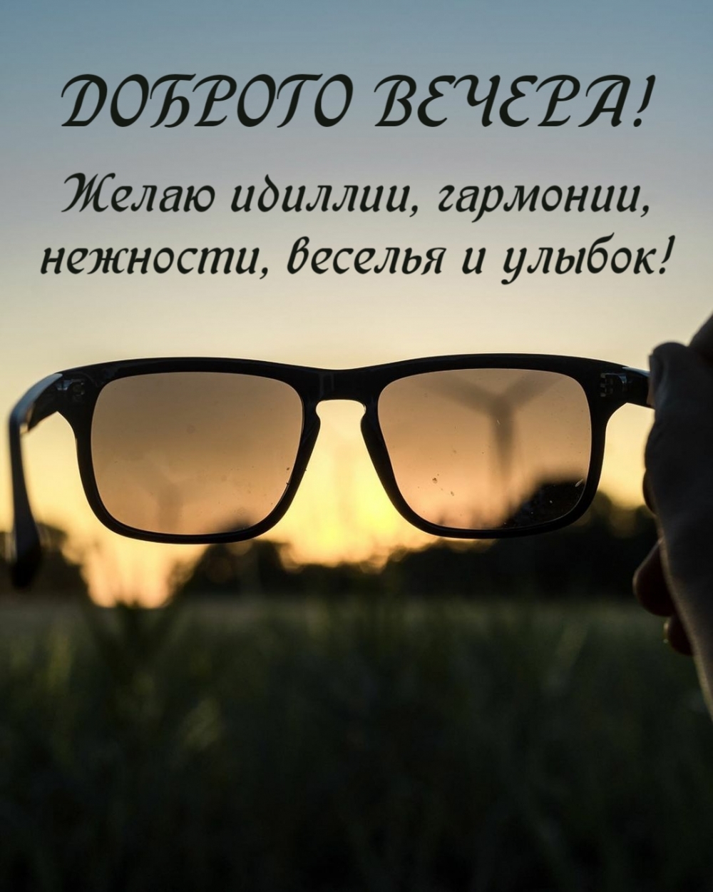 Желаю идиллии, гармонии, нежности, веселья и улыбок!