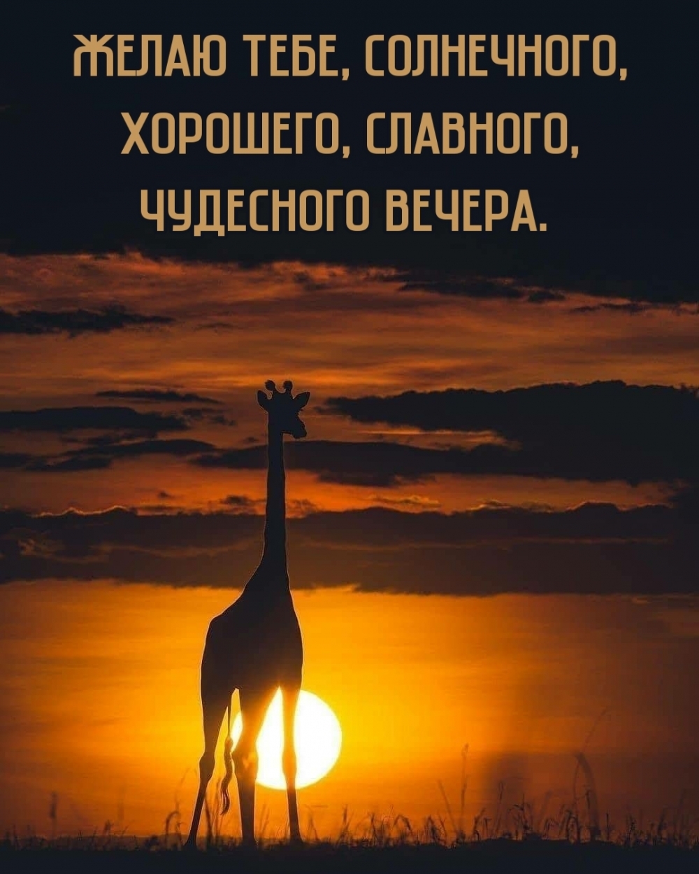 Желаю тебе, солнечного, хорошего, славного, чудесного вечера.