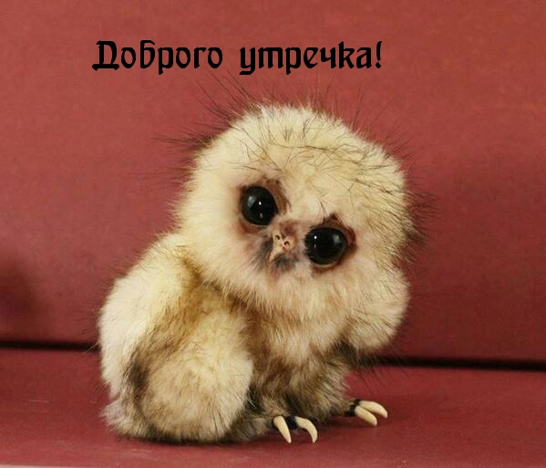 Доброго утречка!