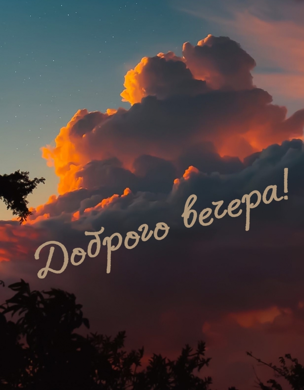 Доброго вечера!