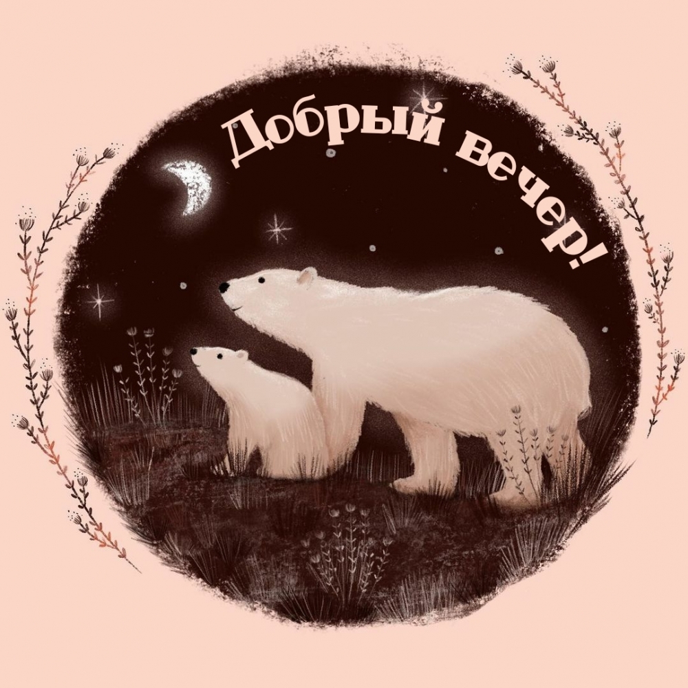 Добрый вечер!