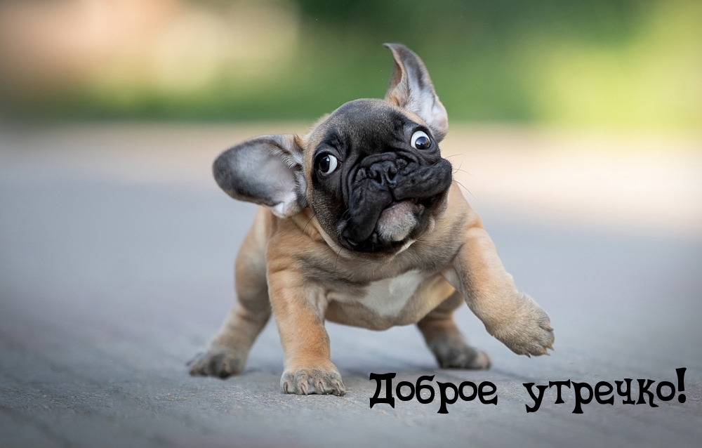 Доброе утречко!