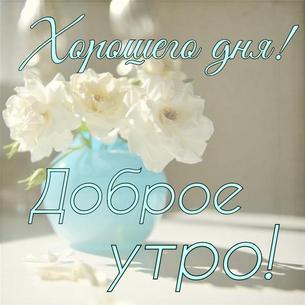 Светлые цветы в вазе с пожеланием доброго утра и хорошего дня