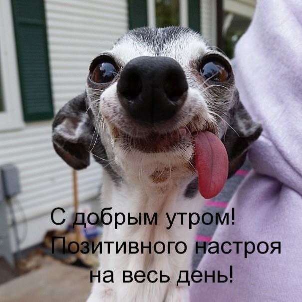 Позитивного настроя на весь день!