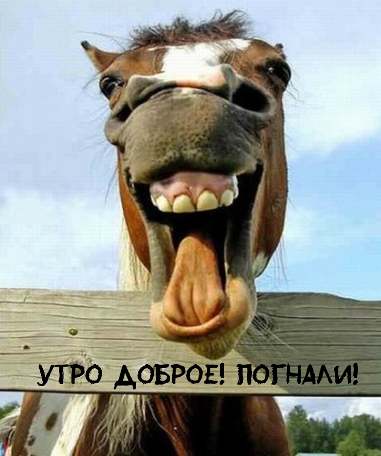 Утро доброе! Погнали!