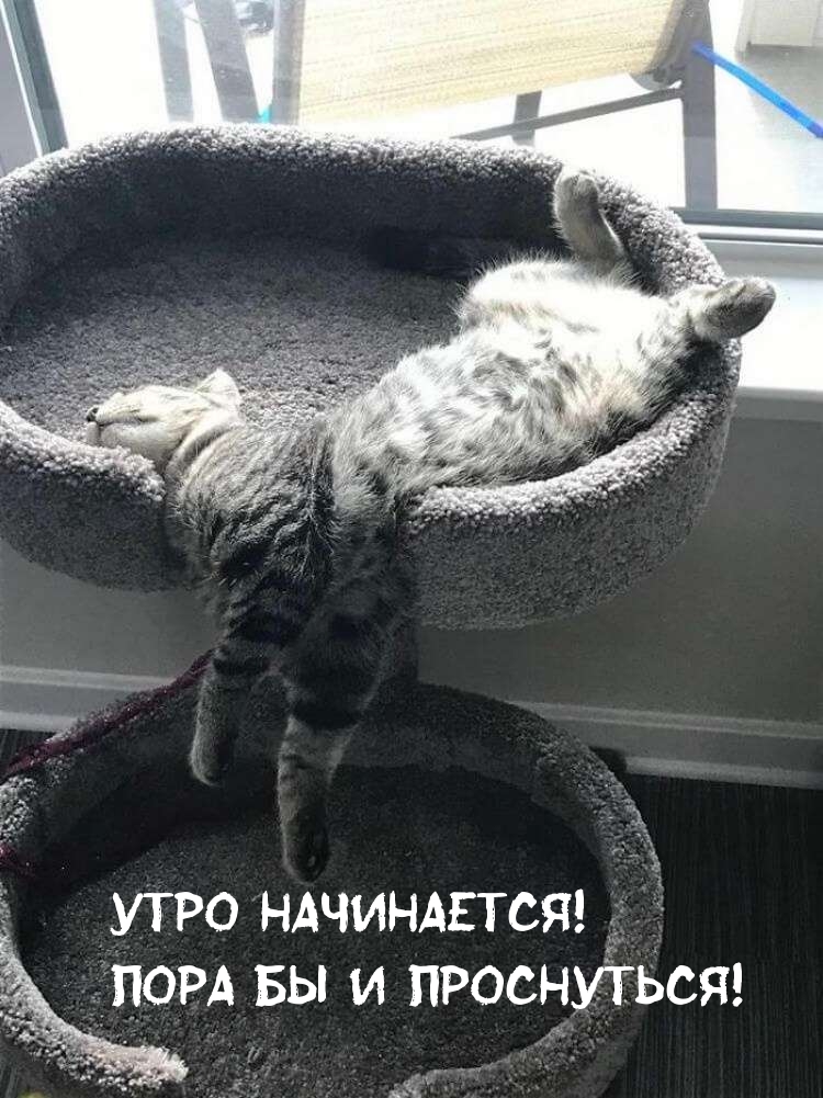 Утро начинается! Пора бы и проснуться!
