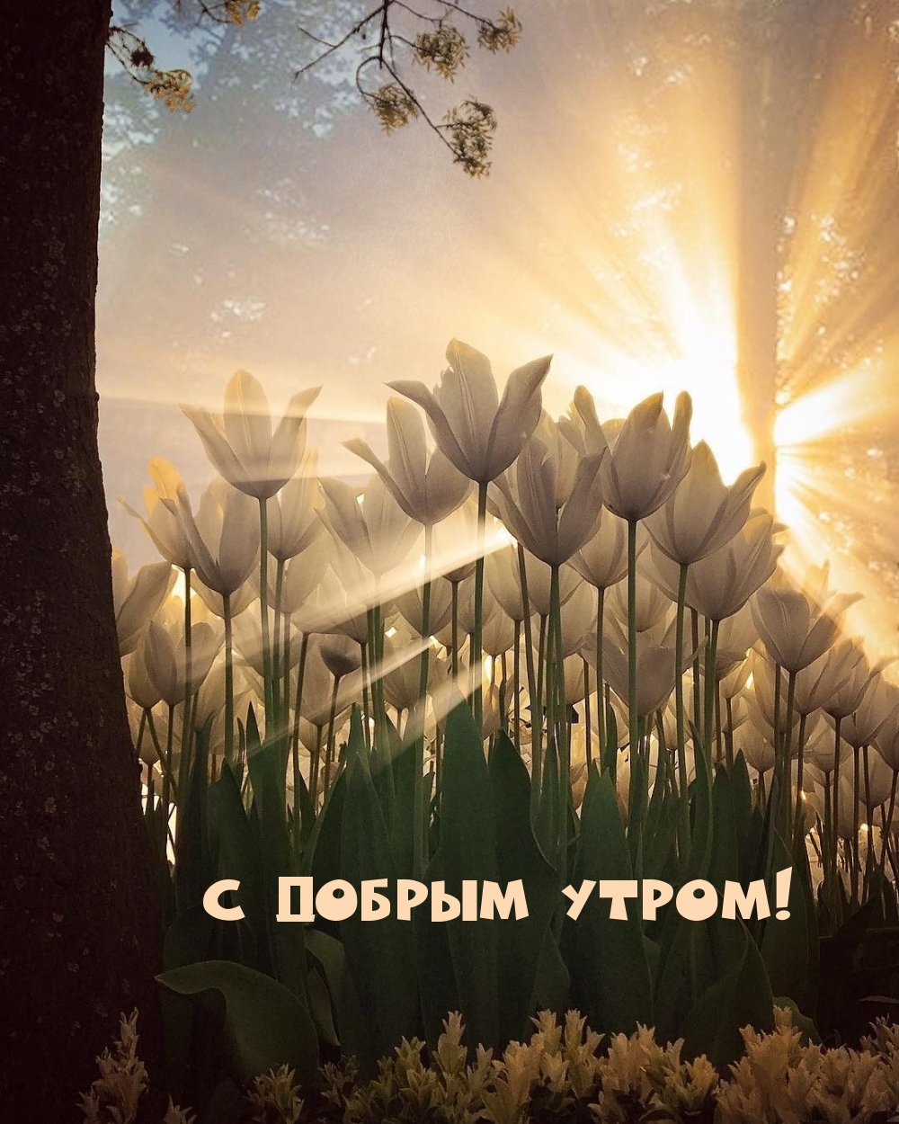 С добрым утром!