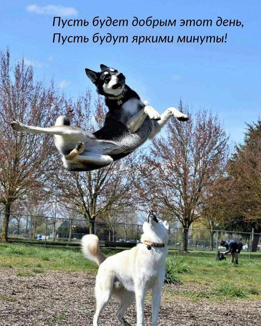Пусть будет добрым этот день, пусть будут яркими минуты!
