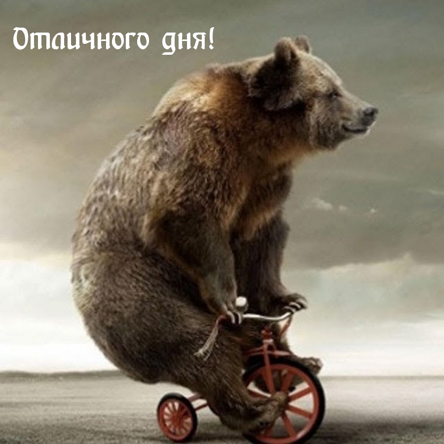 Отличного дня!