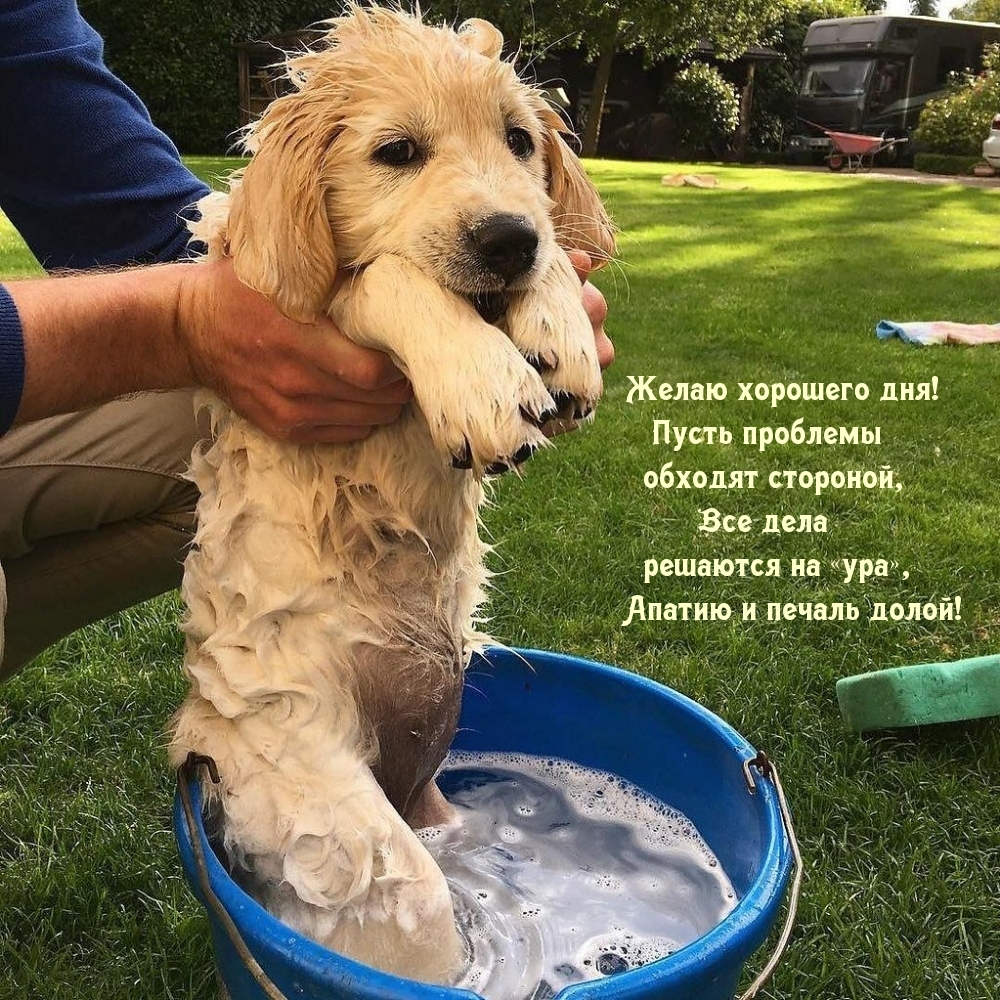 Желаю хорошего дня!