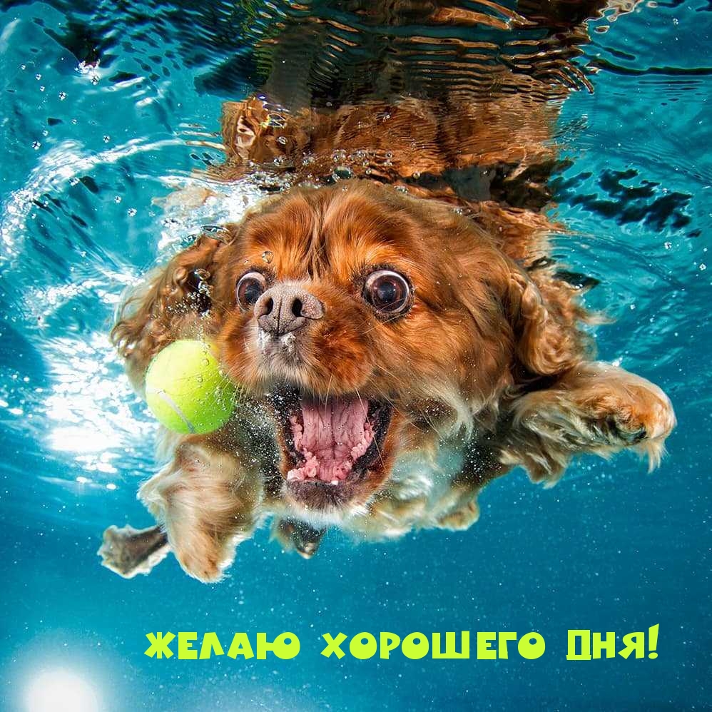 Желаю хорошего дня!