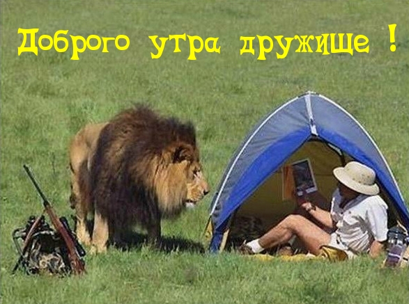Доброго утра дружище!