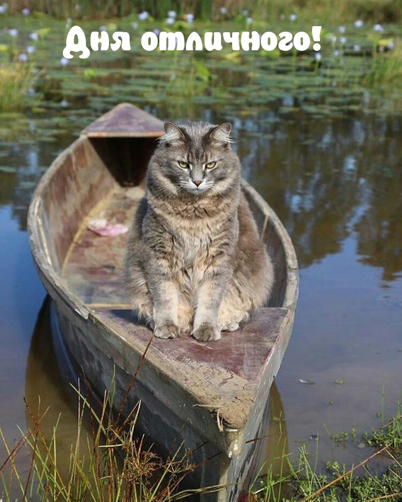 Дня отличного!