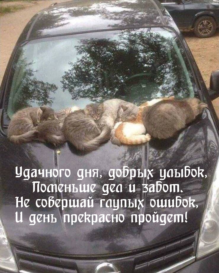 Удачного дня, добрых улыбок, поменьше дел и забот.
