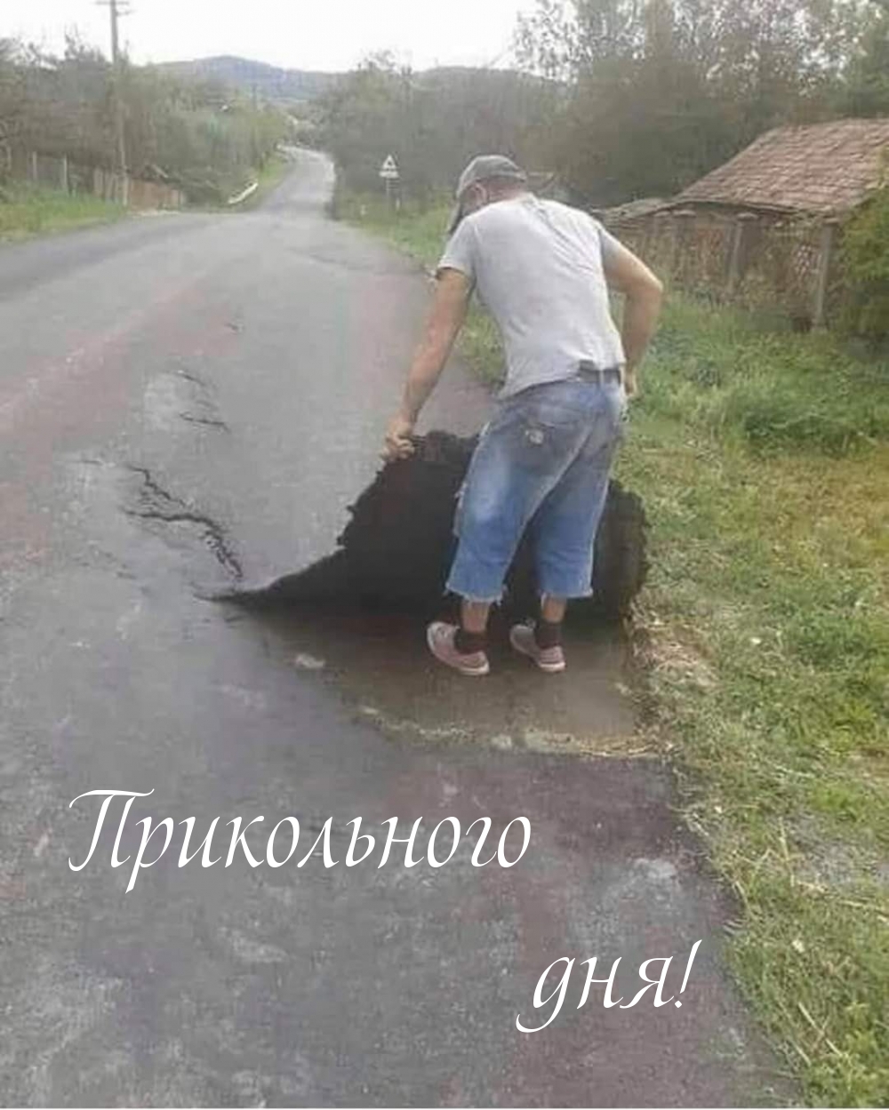 Прикольного дня!