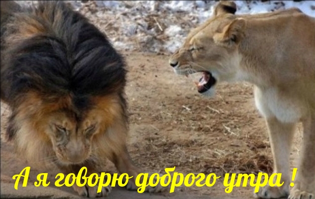 А я говорю доброго утра!