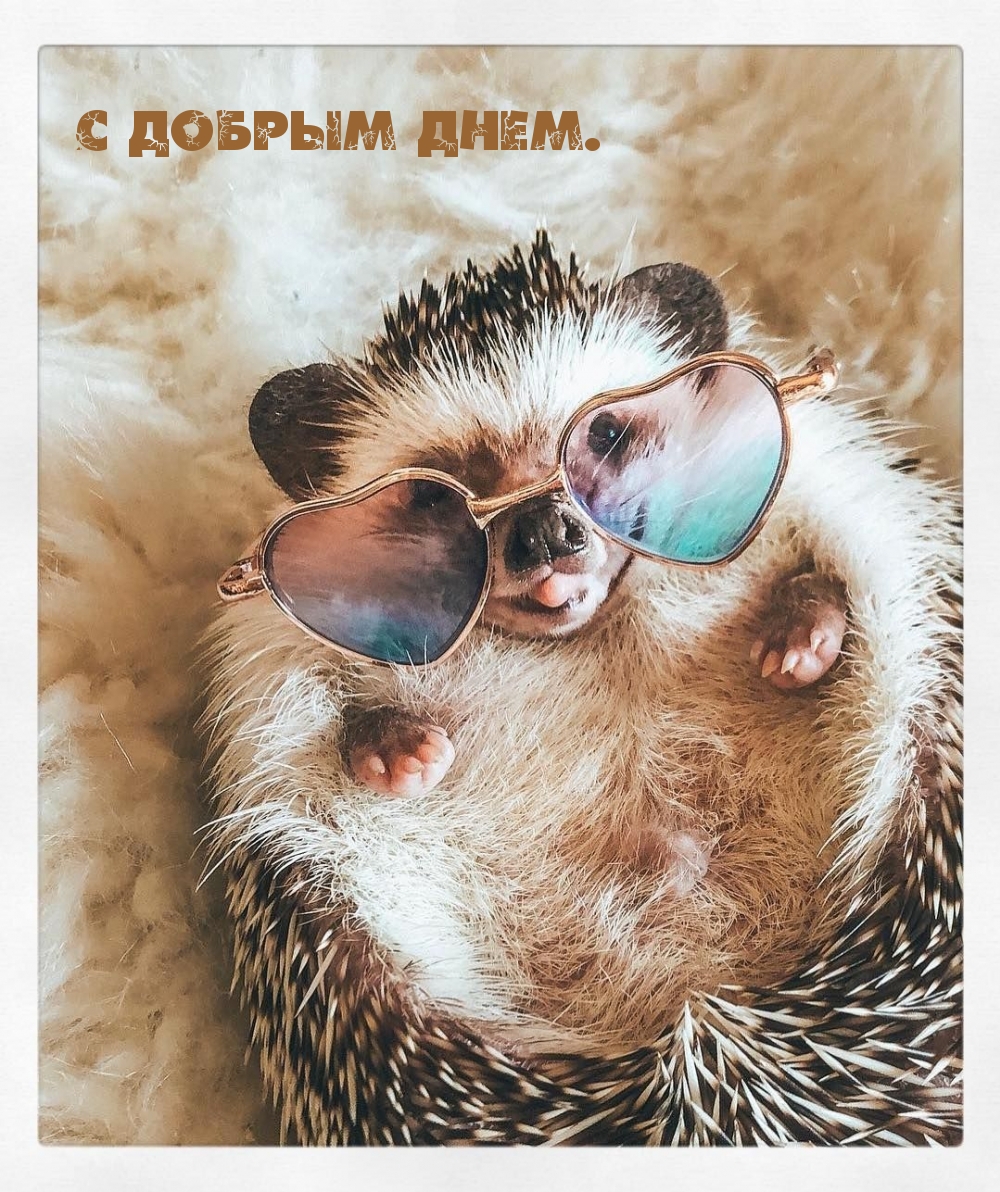 С добрым днем.