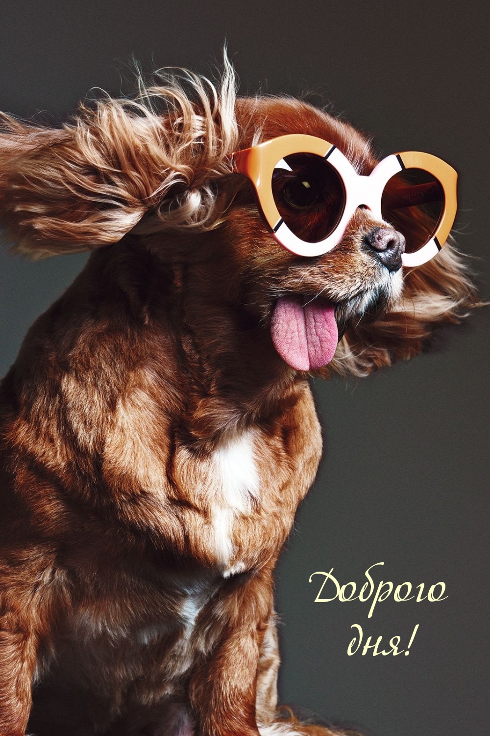 Доброго дня!