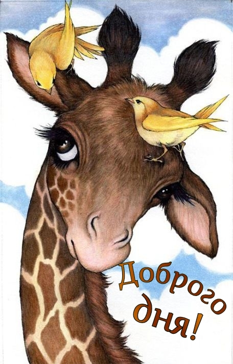 Доброго дня!