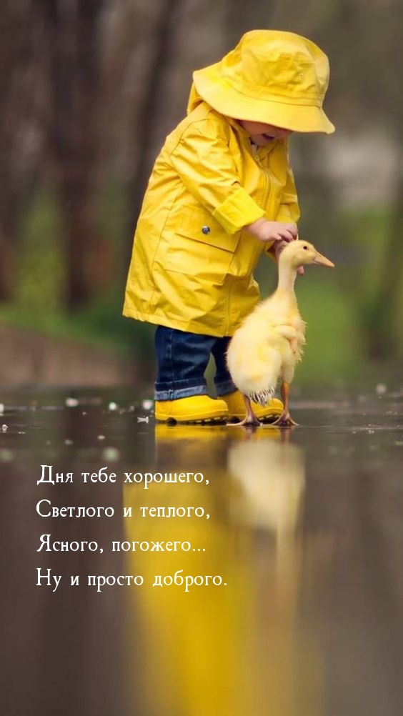 Дня тебе хорошего, светлого и теплого