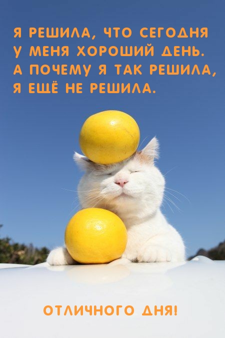 Я решила, что сегодня у меня хороший день.