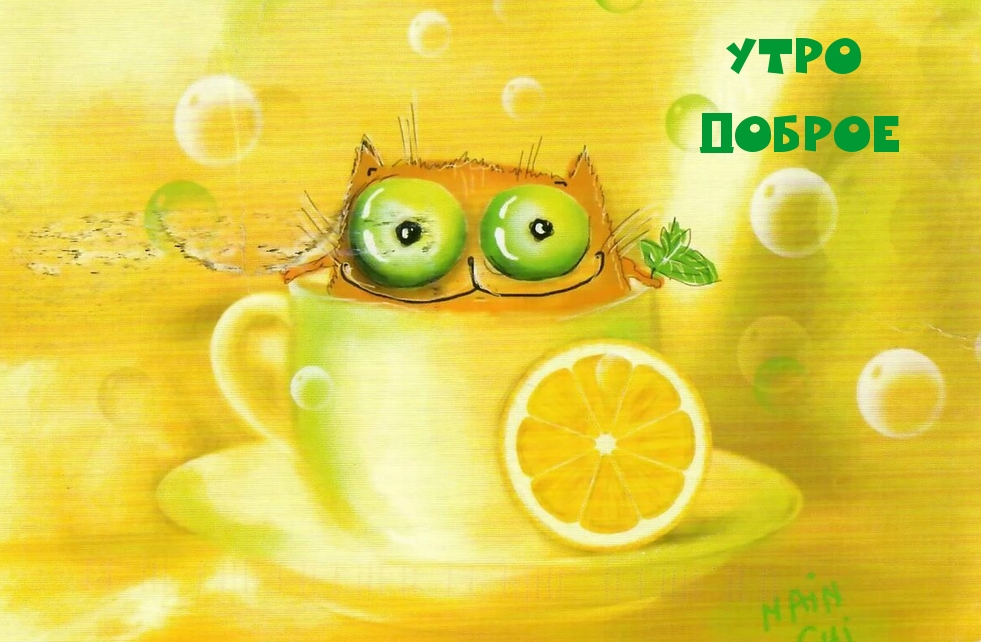УТРО ДОБРОЕ