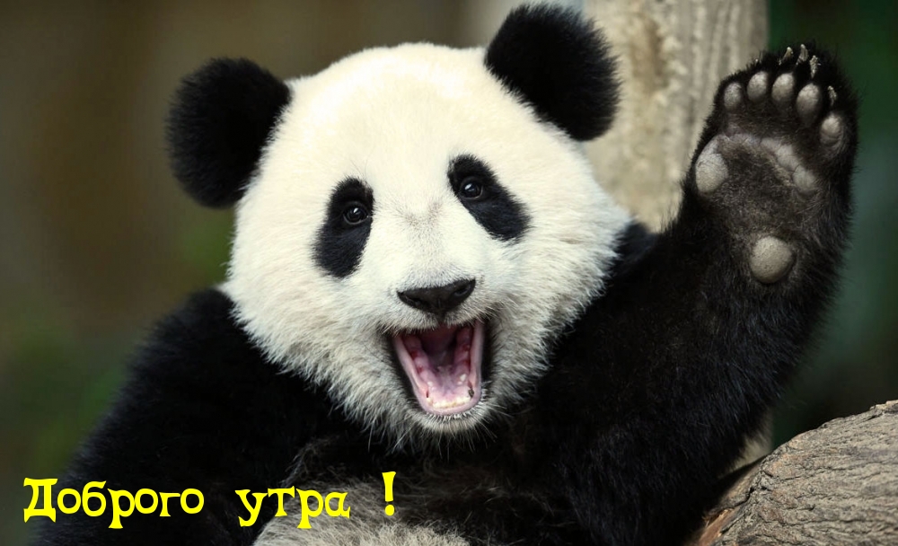 Доброго утра!