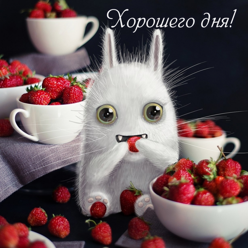 Хорошего дня!