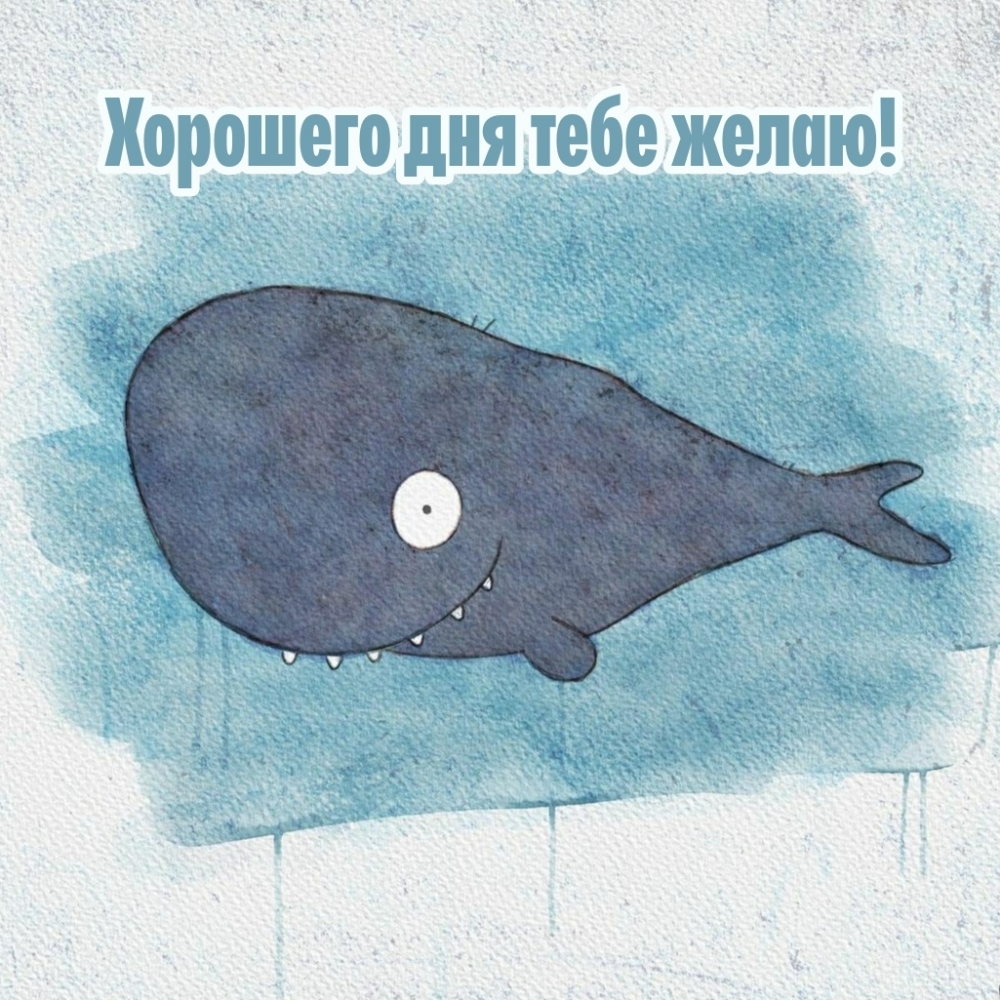 Хорошего дня тебе желаю!
