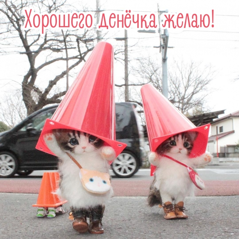 Хорошего денёчка желаю!