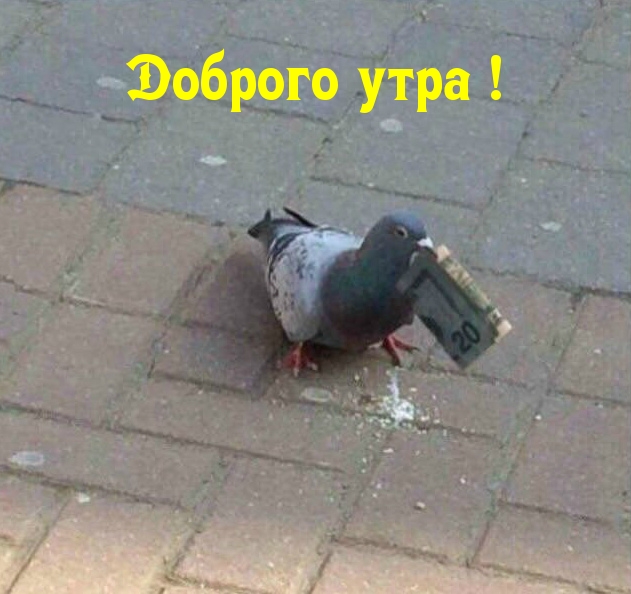 Доброго утра!