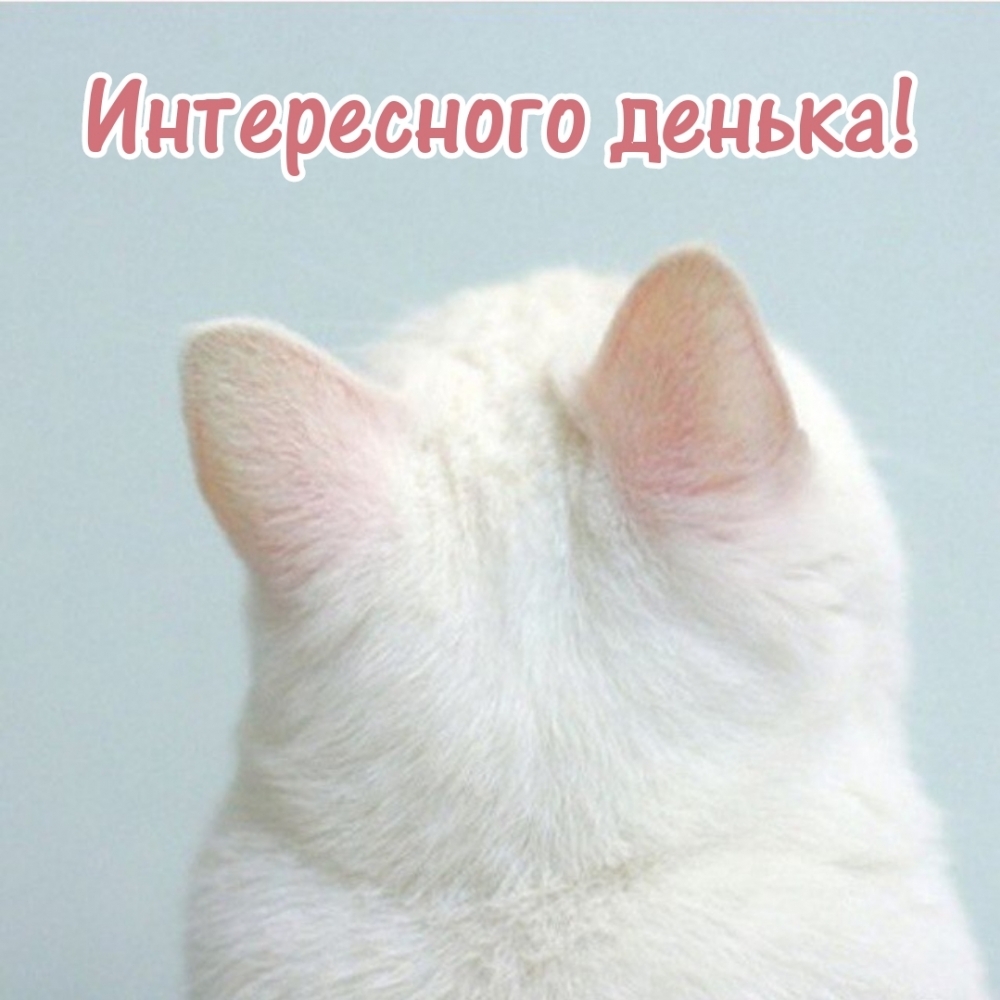 Интересного денька!